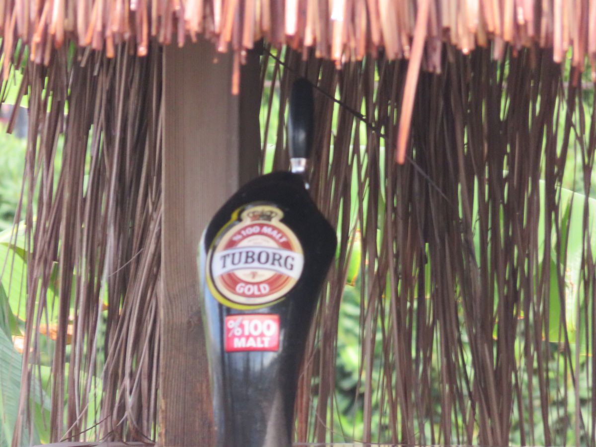 imagini hotel Starlight Resort